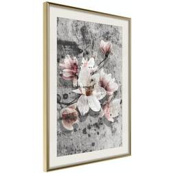 Arkiio Affisch Magnolias [Poster] 20x30 Poster